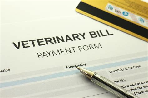 How to get help with vet bills .